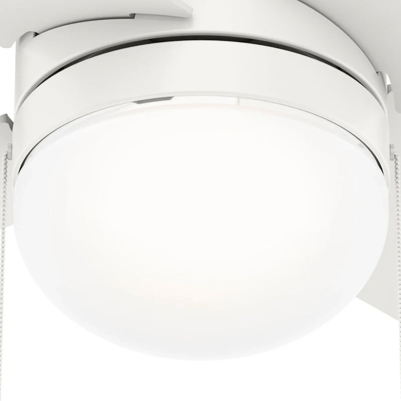 Hunter 52  Timpani Ceiling Fan w/ LED Light, Pull Chain