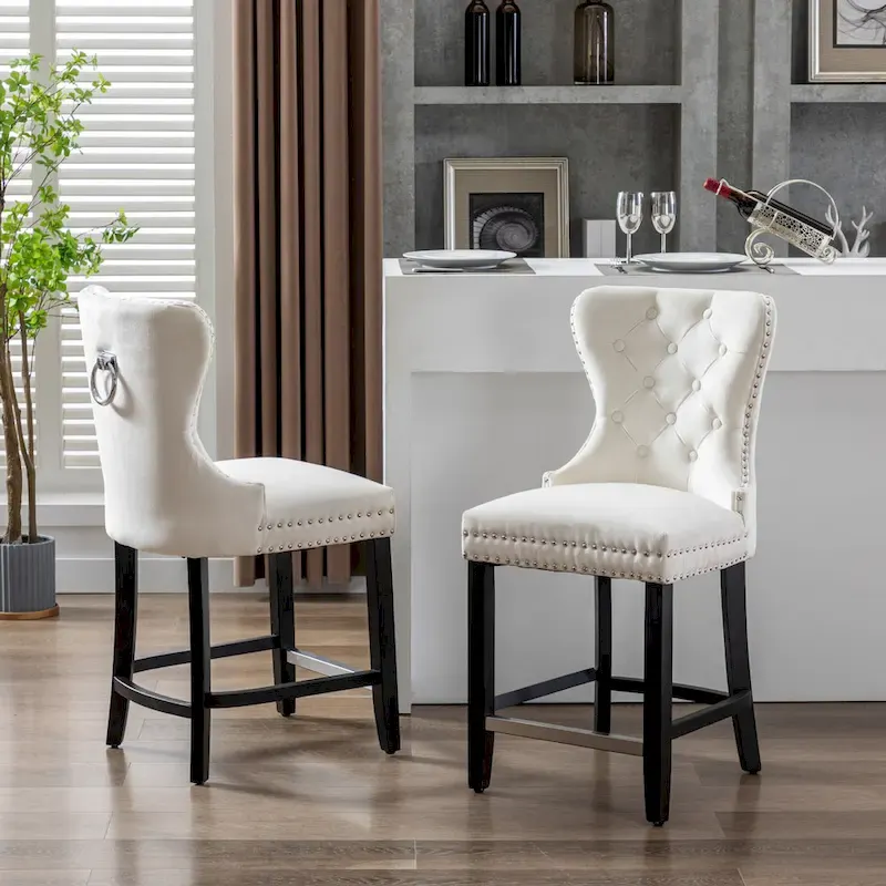 Carter 24  Wingback Tufted Nailhead Counter Stool (Set of 2)