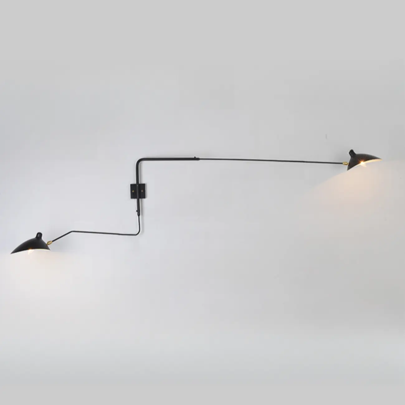 Modern Metal Industrial 2-Light Swing Arm Wall Light