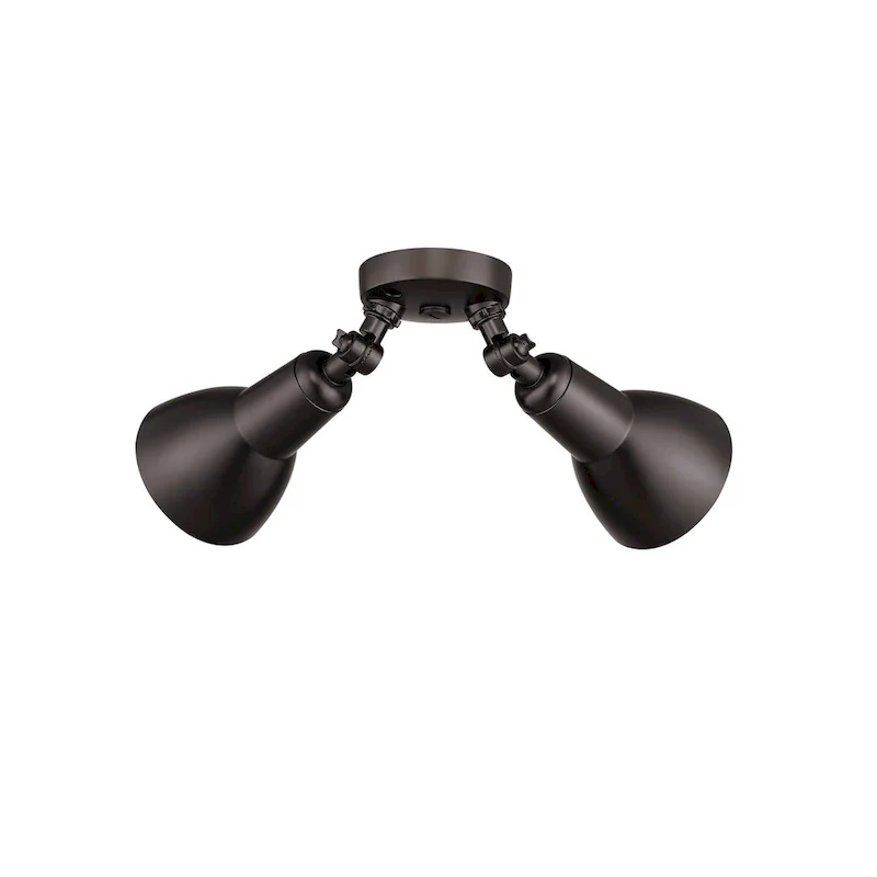 Millennium Lighting 2 Light LED Flood Light Fixture