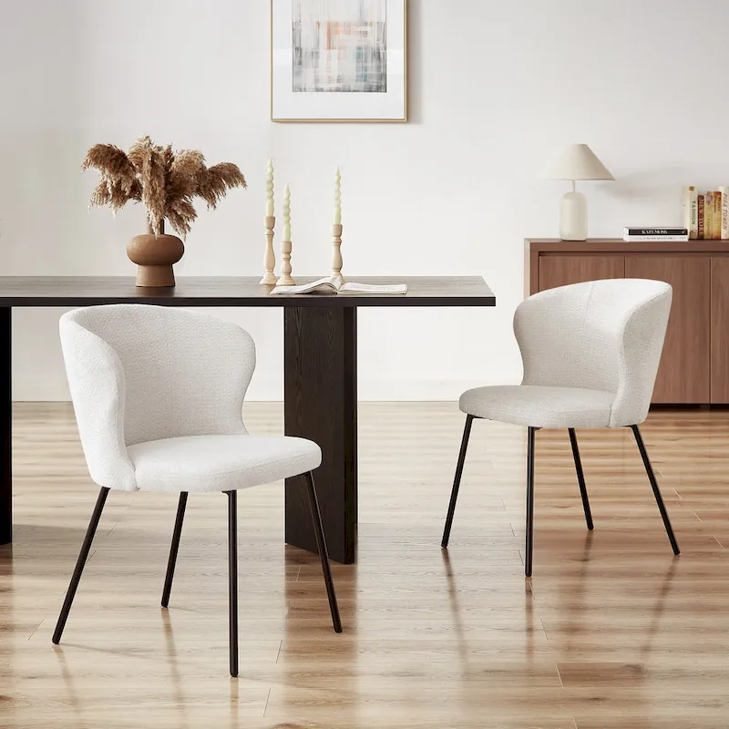 Modern Dining Chairs, Set of 2