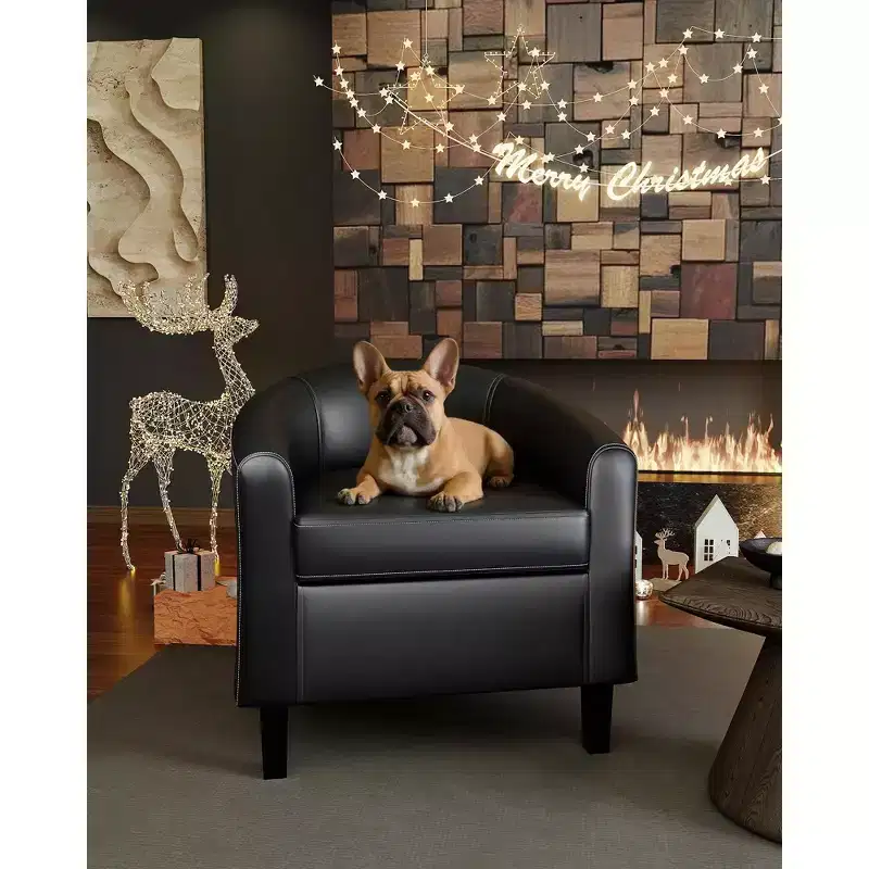 COZONY Faux Leather Accent Chair Set of 2 - Compact Single Seater with Side Pocket, 28W  26D  29H, U-Shaped Backrest, Curved Armrests