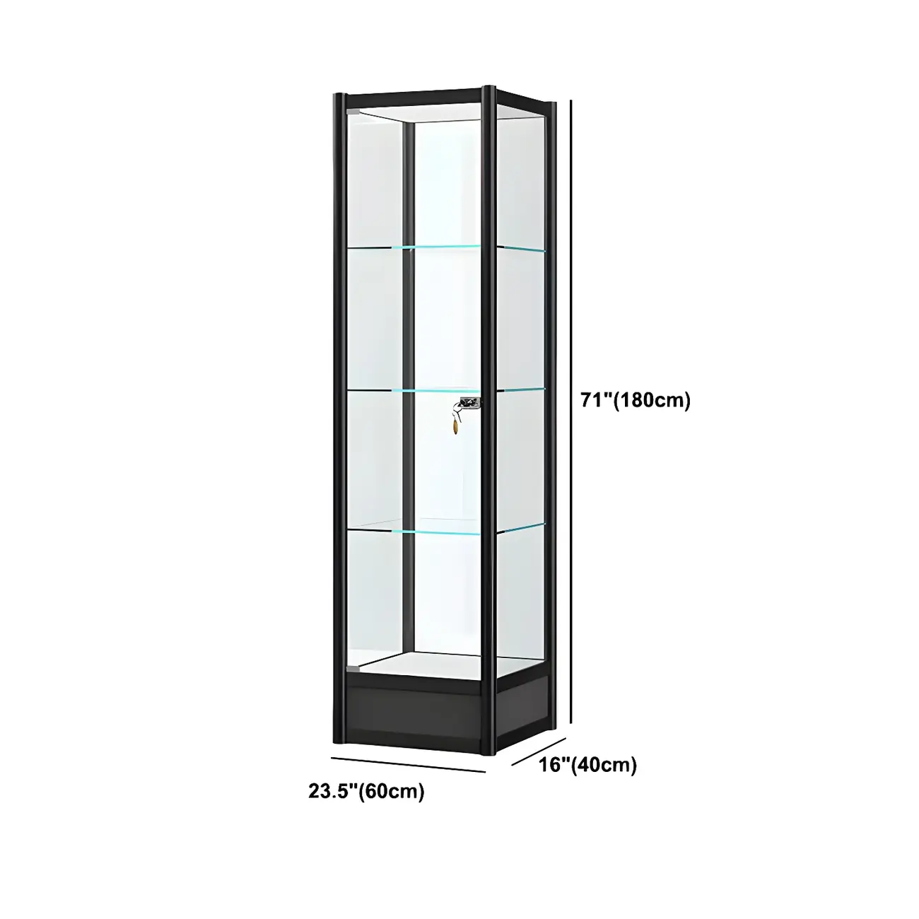 Rectangular Black Clear Glass Metal Frame Curio Cabinet