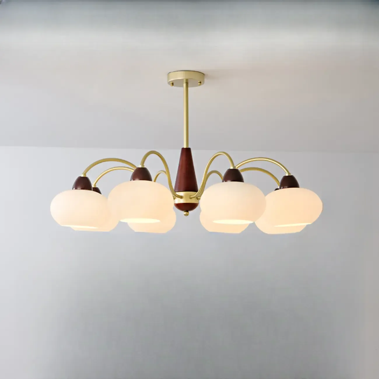 Classic Gold Glass Drum Shade Elegant Chandelier