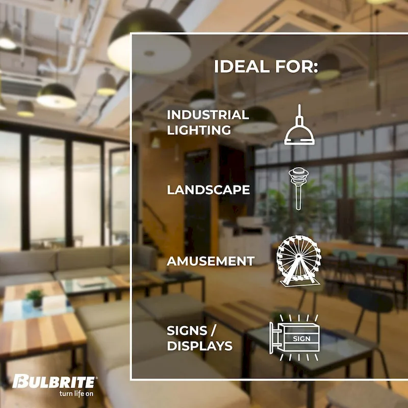 Bulbrite Pack of (8) 7 Watt Dimmable Clear Filament ST18 Medium (E26) LED Bulb