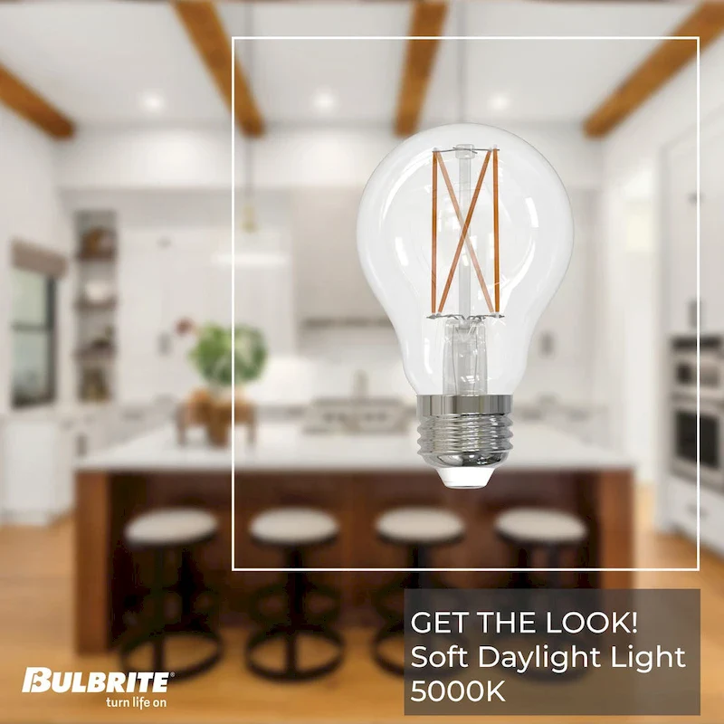 Bulbrite Pack of (2) Dimmable A19 Medium (E26) LED Filament Bulb