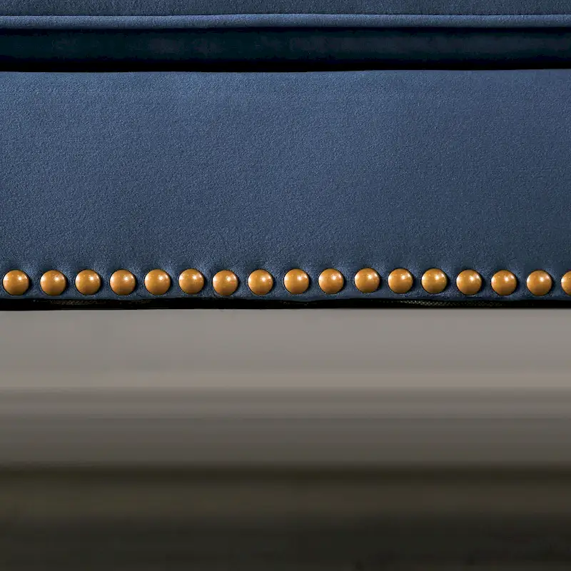 Adeben Transitional Blue Fabric Nailhead Trim Tufted 2-Piece Sofa Set by Furniture of America