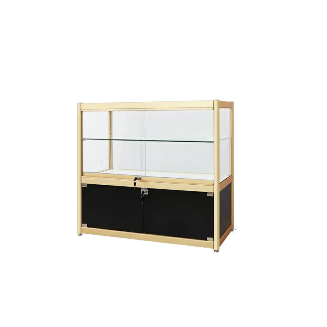 Gold Rectangular Metal Frame Glass Curio Cabinet