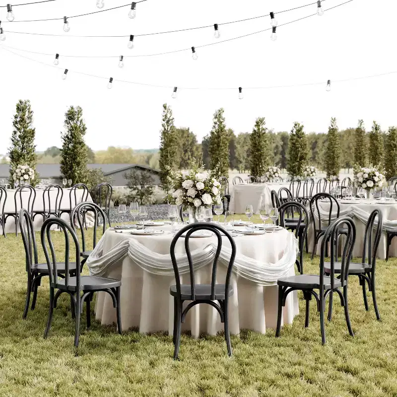 Flash Furniture HERCULES 2 Pack Commercial Indoor/Outdoor Wood Look Resin Thonet Style Chair