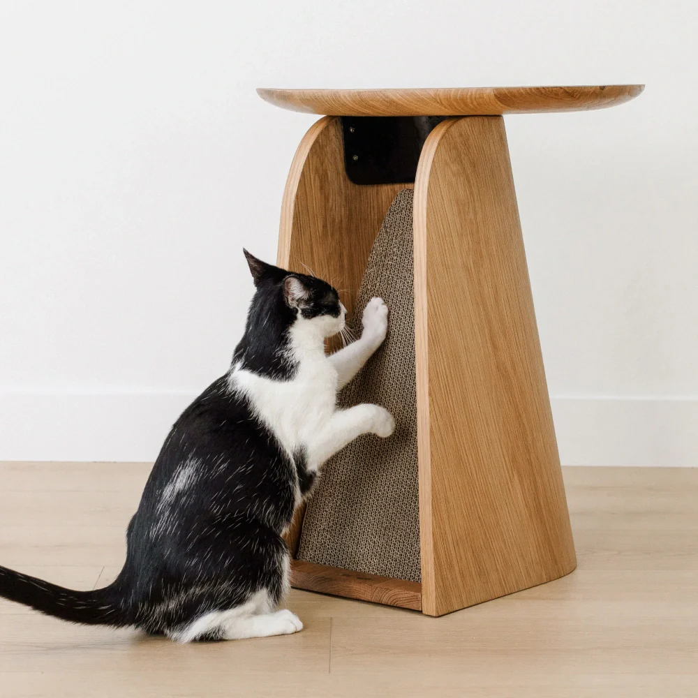 Kona Scratcher