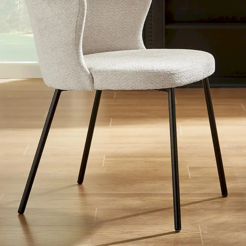 Modern Dining Chairs, Set of 2