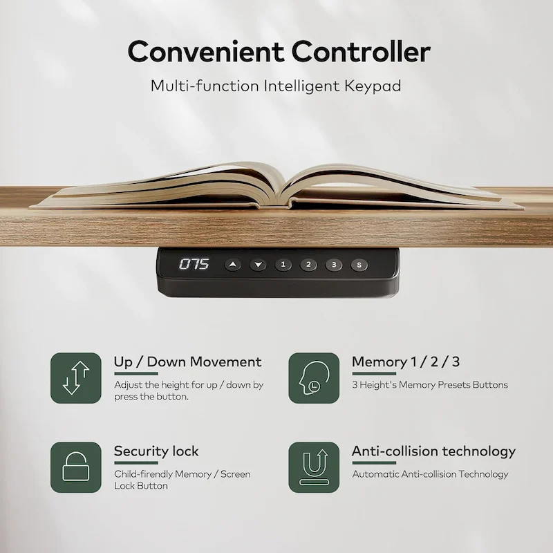 FEZIBO Height Adjustable Electric Standing Desk with Double Drawers&Keyboard Tray, Stand Up Desk with LED Strips