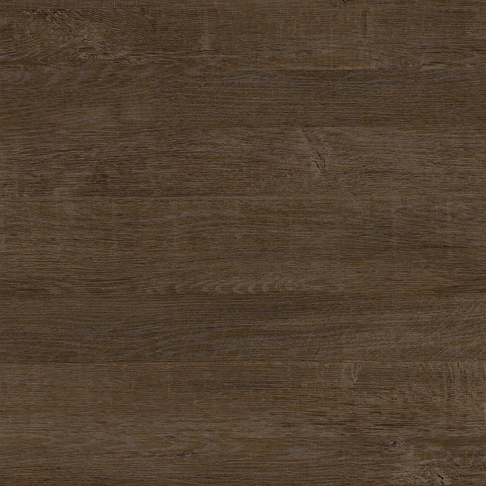 Woodland 40W Wall Mounted Coat Rack with Shelf by Bush Furniture