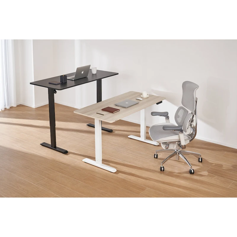 Sihoo D03 Office Desk, Height-Adjustable Standing Desk