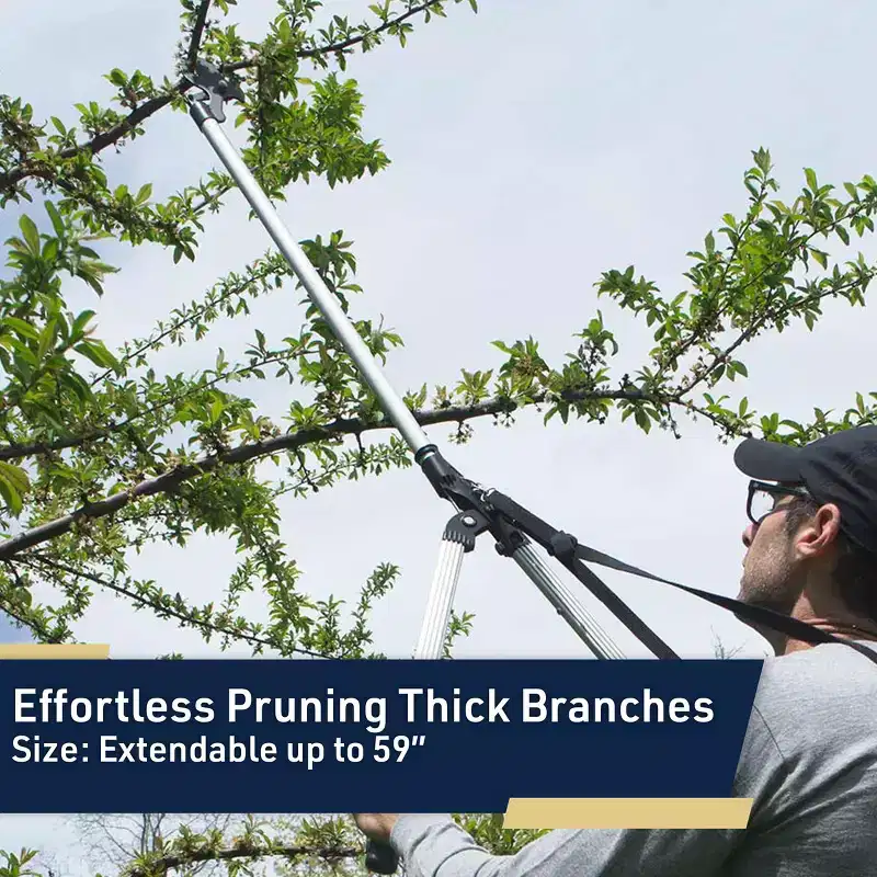 Kings County Tools 59-Inch Tree Trimmer Pruners