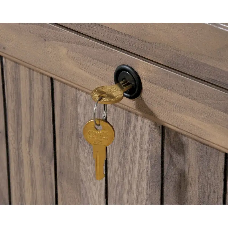 Sauder Costa Collection Lateral File Cabinet