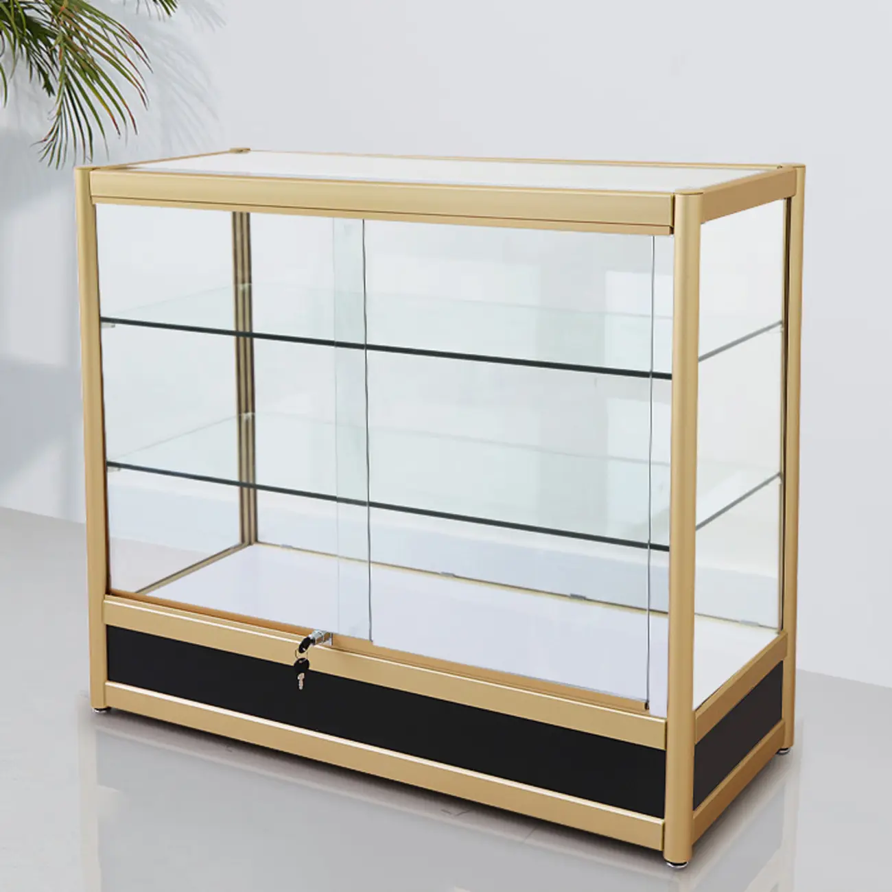 Gold Rectangular Metal Frame Glass Curio Cabinet