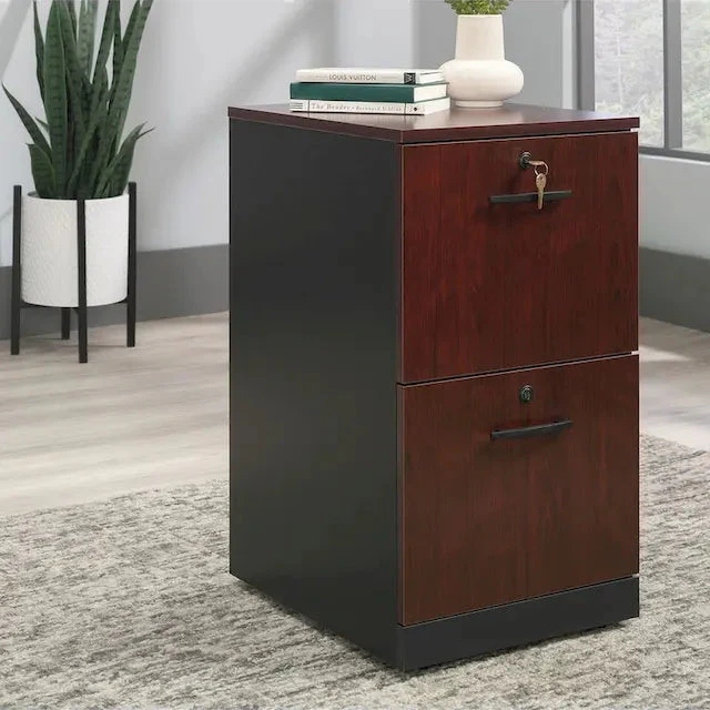 2-Drawer Mobile File Cabinet - Timber Oak & Black