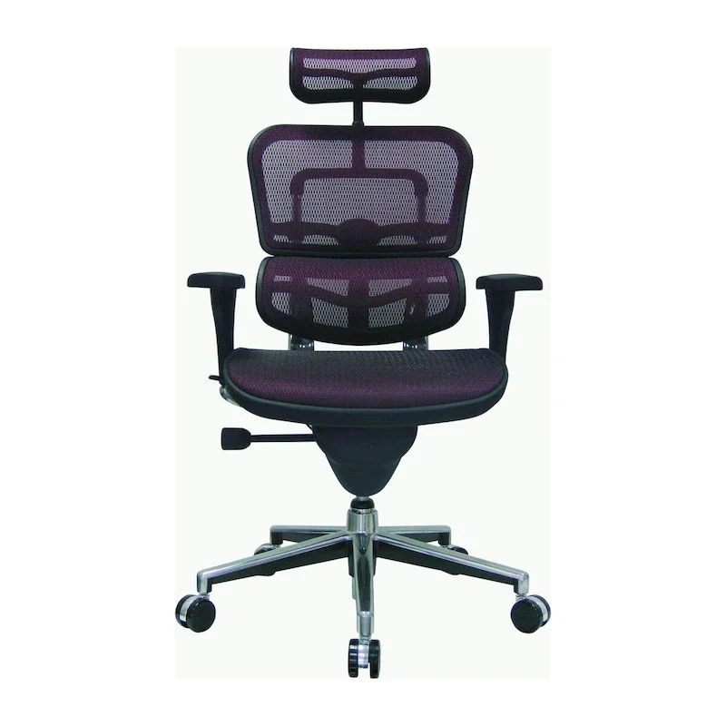 Ergohuman Mesh Managers Chair