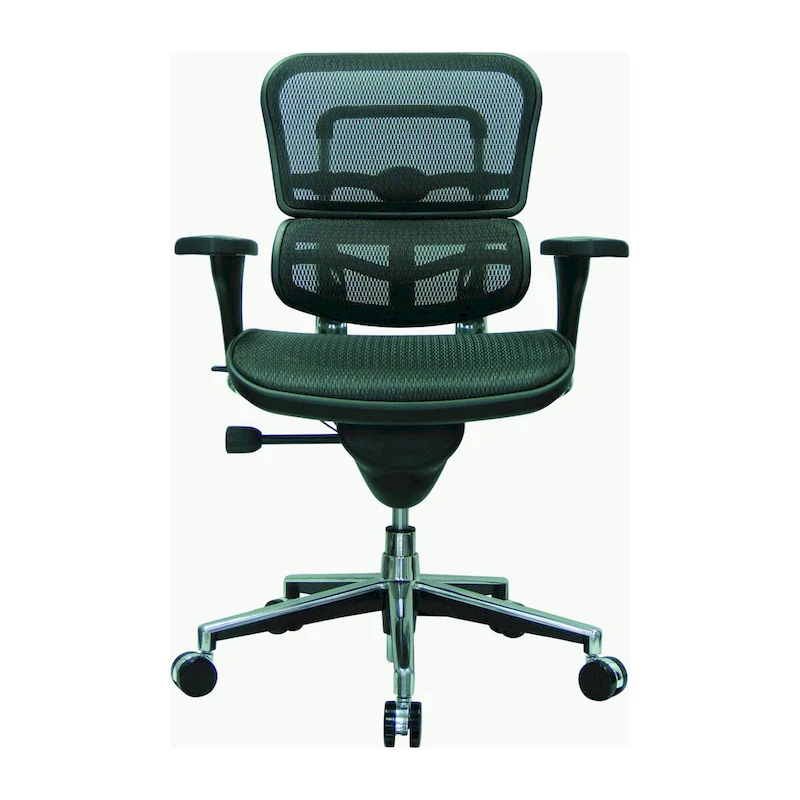 Eurotech Seating Ergohuman Mesh Managers Chair