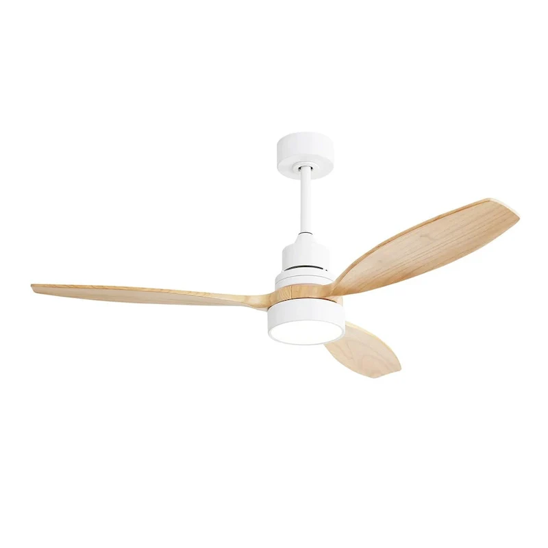Modern Ceiling Fan With Led Light