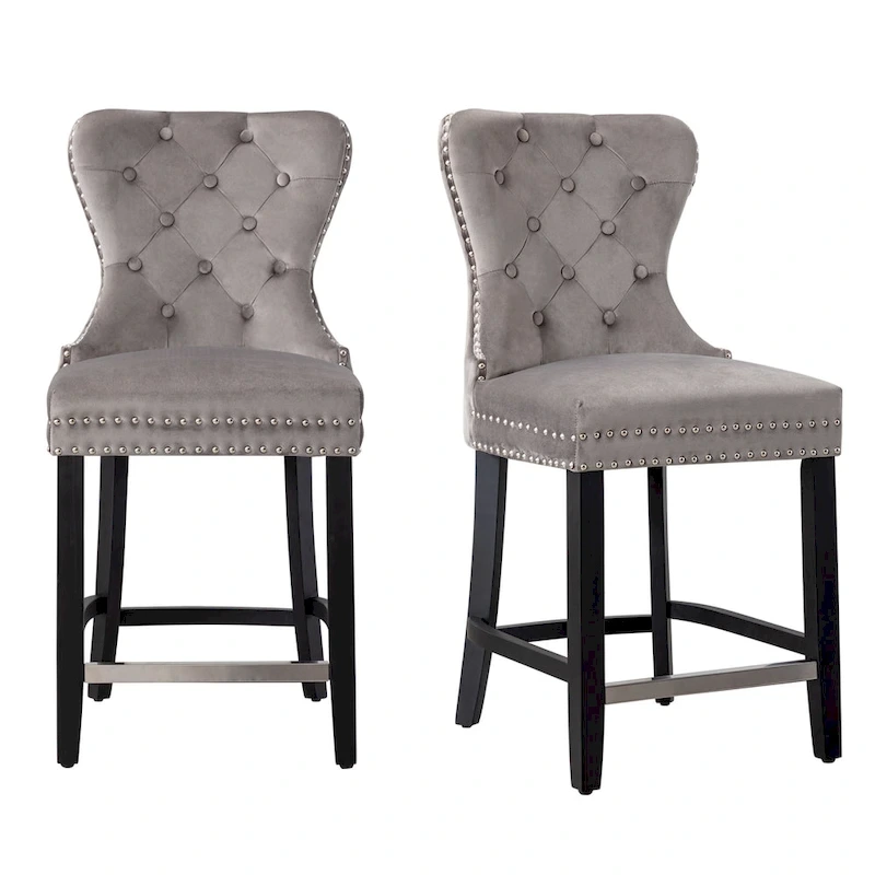 Carter 24  Wingback Tufted Nailhead Counter Stool (Set of 2)