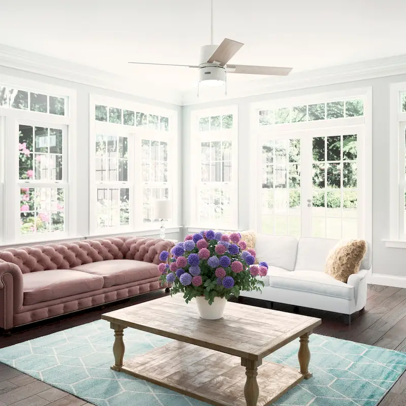 Hunter 52  Beck Ceiling Fan with LED Light Kit and Pull Chain - Transitional, Modern, Farmhouse