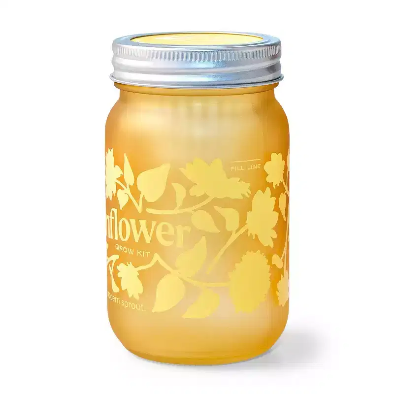 Modern Sprout Sunflower Yellow Pint Jar Grow Kit