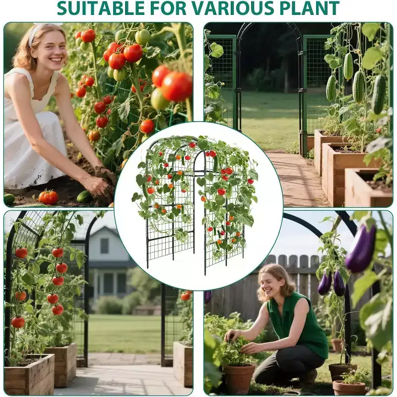 Metal Garden Arch Trellis for Raised Beds  Sturdy Black Support Frame, Plastic Connectors  Perfect for Climbing Vegetables, Cucumbers & Vines