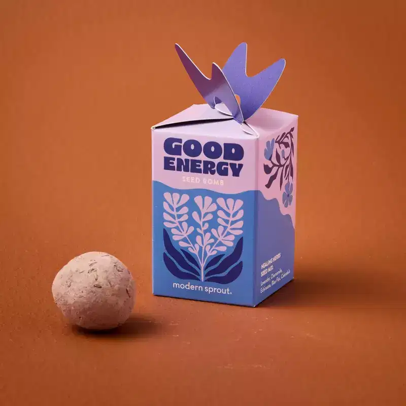 Modern Sprout Mixed Arrangements Good Energy Seed Bomb
