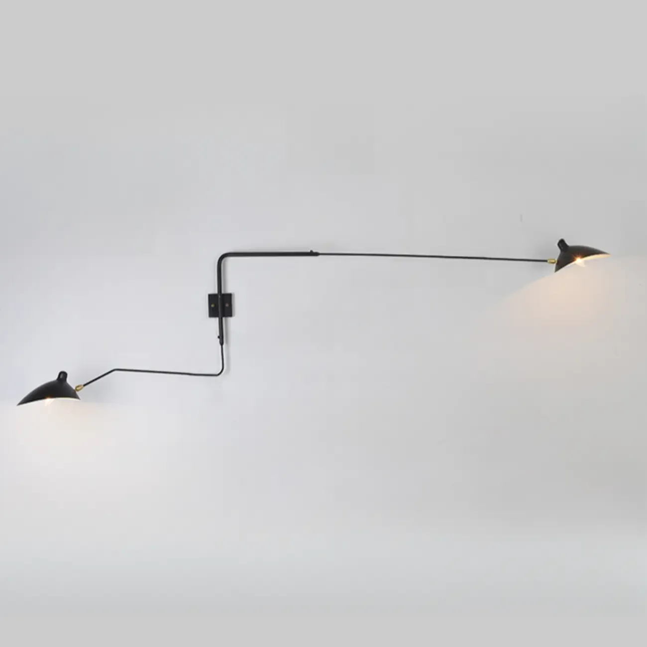 Modern Metal Industrial 2-Light Swing Arm Wall Light