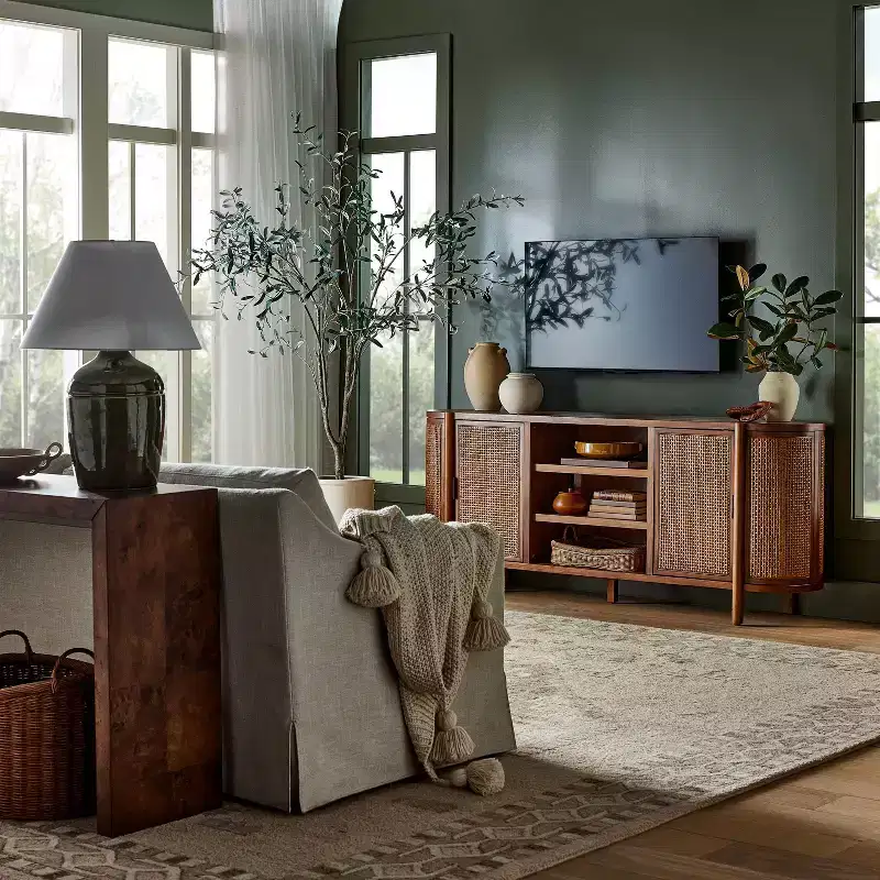 Portola Hills Caned Door TV Stand for TVs up to 72 - Threshold designed with Studio McGee