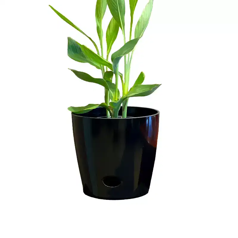 10 Round Self-Watering Indoor/Outdoor Bamboo Plant Pot