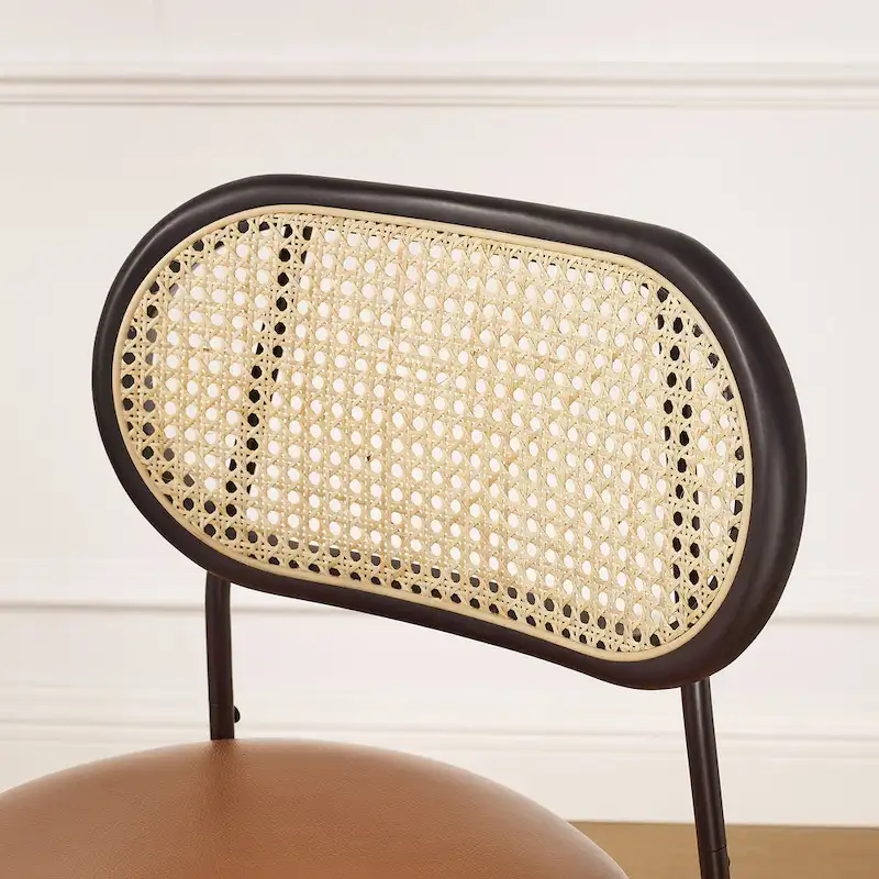 Art Leon Cane Back Faux Leather Upholstered Dining Chair (Set of 2)