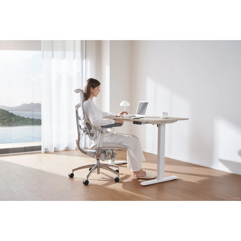 Sihoo D03 Office Desk, Height-Adjustable Standing Desk