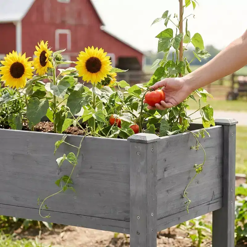 Large Raised Garden Bed with Legs, 48 L x 24 W x 30 H, Made of Solid Wood