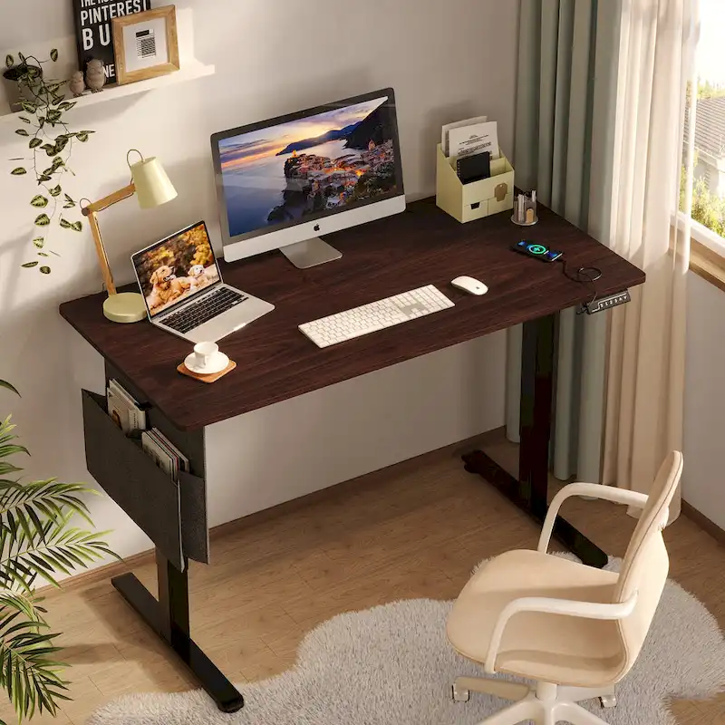 Standing Desk Electric Ergonomic Office Desk Computer Desk Height Adjustable Table with USB Port