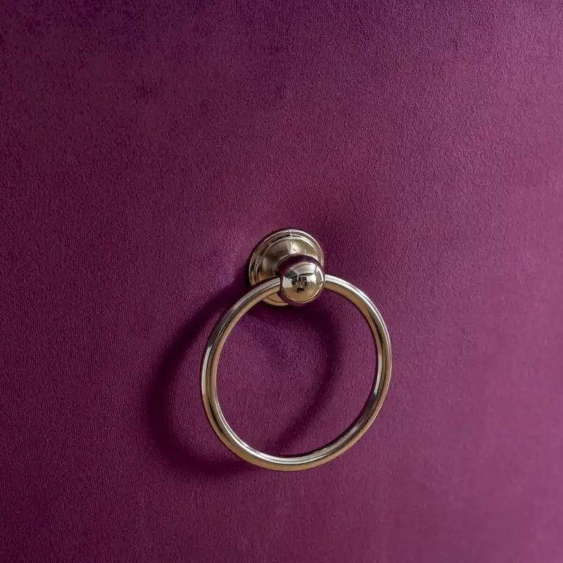 Velvet Dining Chair with Nailhead Trim and Chrome-Plated Stainless Steel Legs