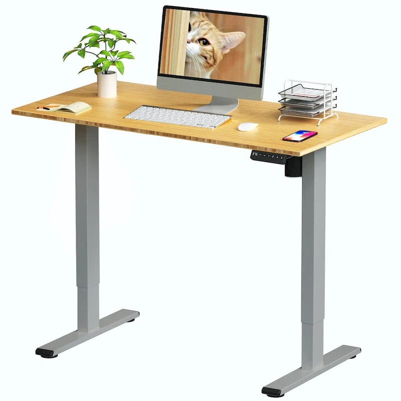 Bamboo Electric Height Adjustable Standing Desk - Single User