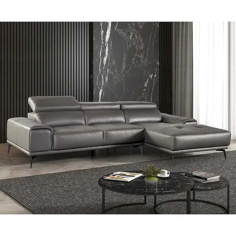 Furniture of America Jacques Modern Low Profile Leather L-Shaped Sectional with Chaise