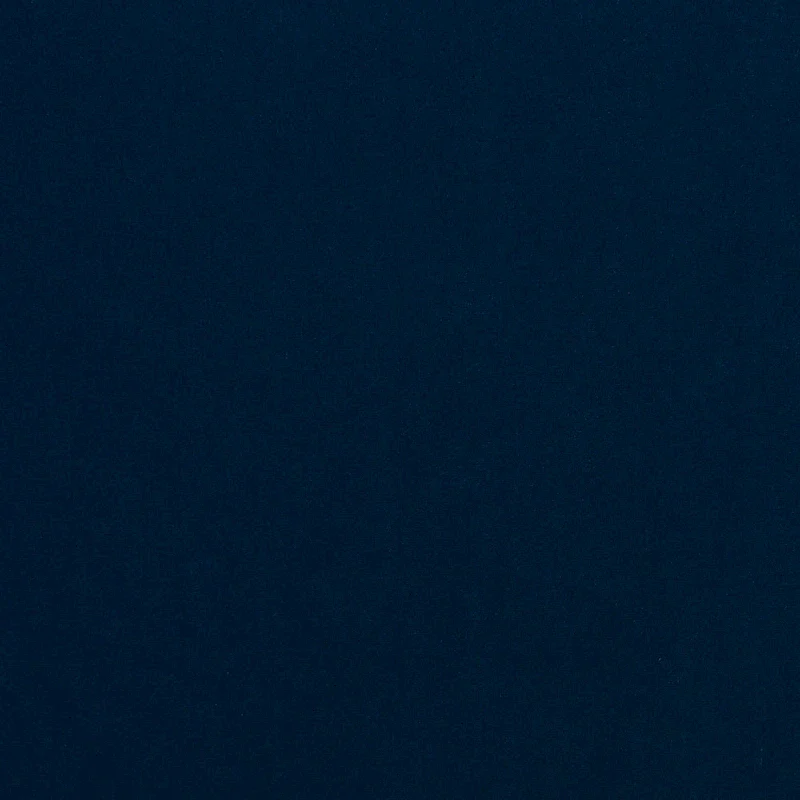 Eliana Modern Wingback Accent Chair