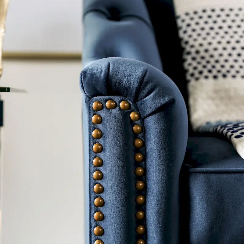 Adeben Transitional Blue Fabric Nailhead Trim Tufted 2-Piece Sofa Set by Furniture of America