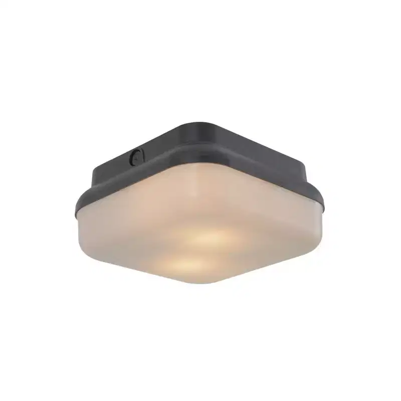 Craftmade Lighting Resilience 2 - Light Flush Mount in Textured Black