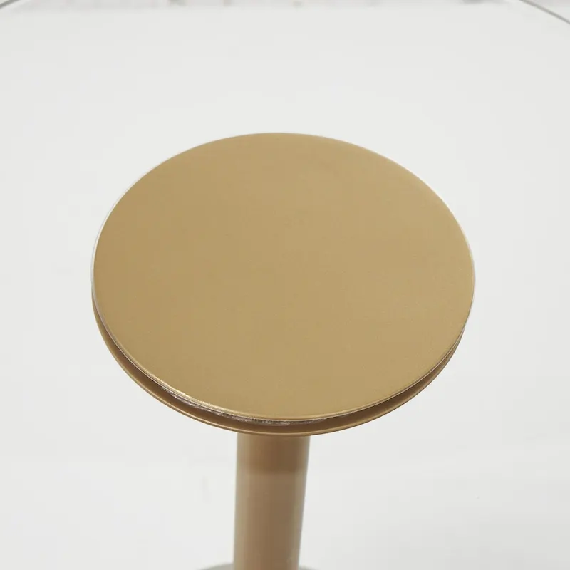 Plastic Side End Accent Table with Elevated Base and Gold Stand - Clear