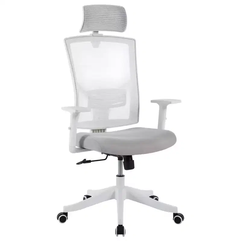 COZONY High-Back Office Chair with Adjustable Lumbar Support, Mesh Desk Chair with Flip-Up Armrests for Home or Office