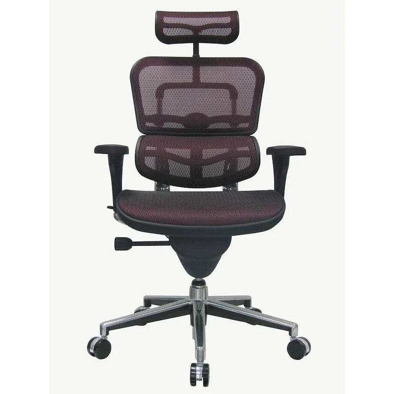 Ergohuman Mesh Managers Chair
