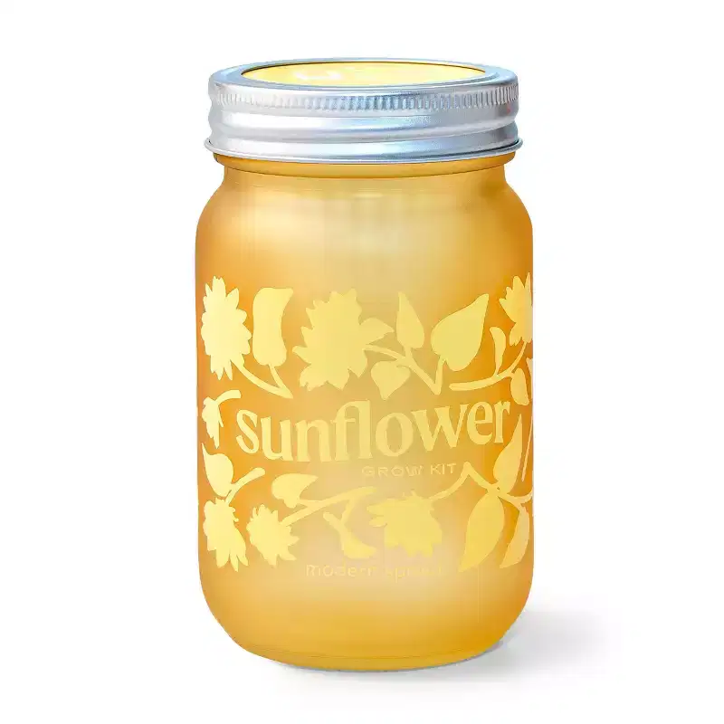 Modern Sprout Sunflower Yellow Pint Jar Grow Kit