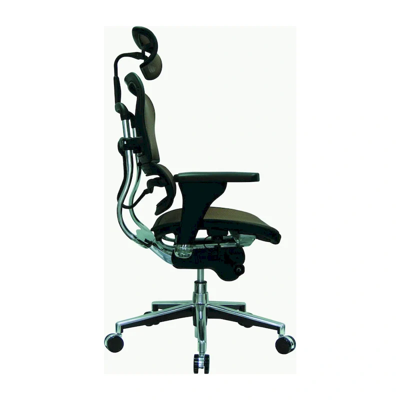Eurotech Seating Ergohuman Mesh Managers Chair