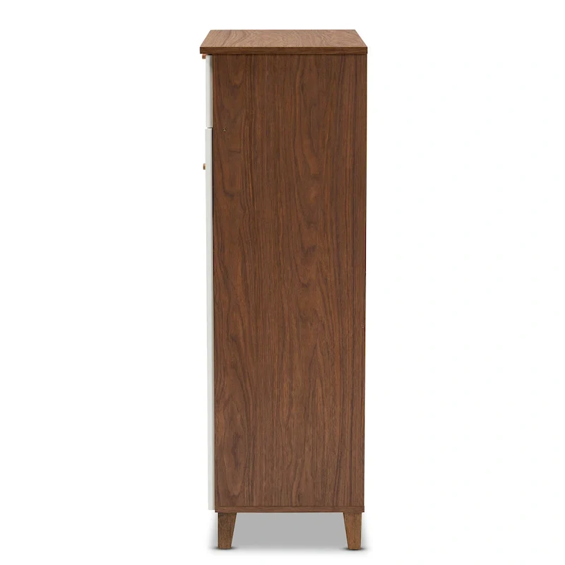 Modern and Contemporary 5-shelf Shoe Cabinet