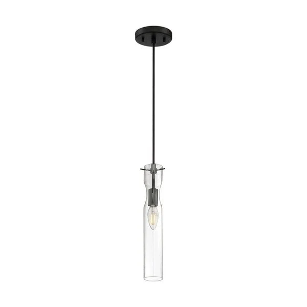 Spyglass 1-Light Mini Pendant Fixture - Black Finish with Clear Glass